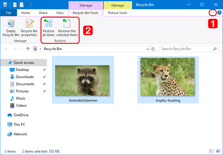 retrieve deleted files with recycle bin