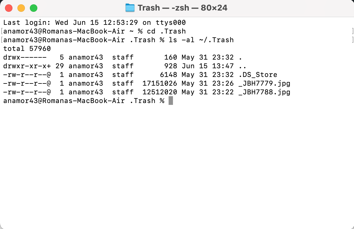 trash files in terminal