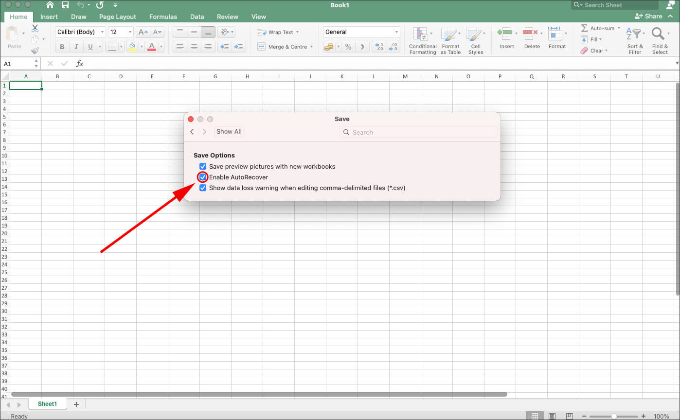 Activate autorecovery feature in excel