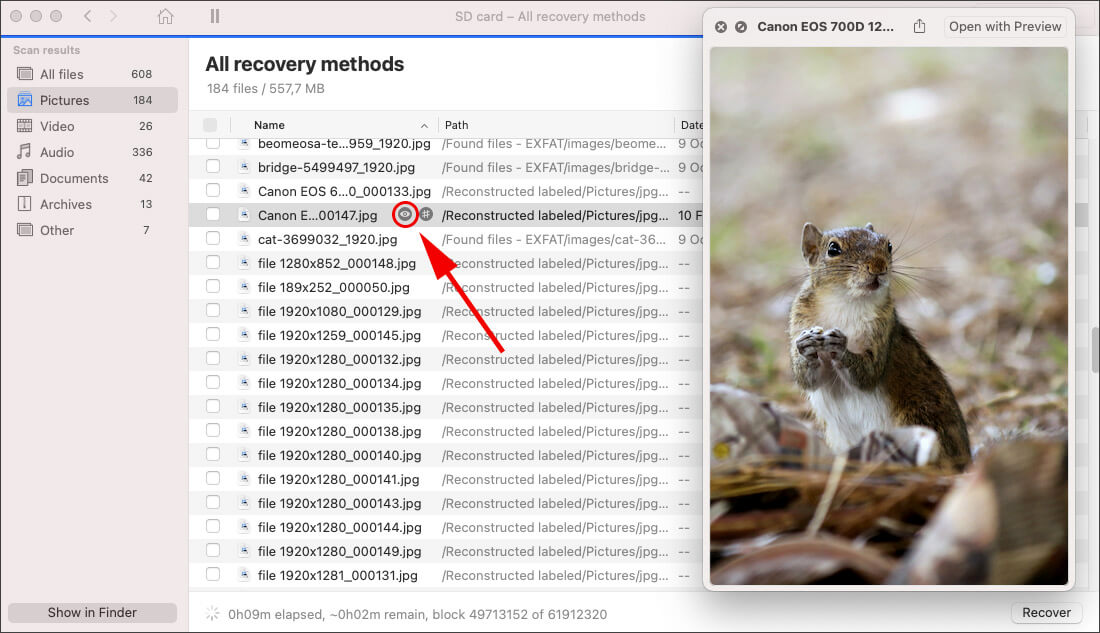 Choose the files for recovery