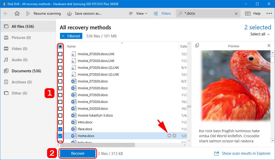 preview recovered files in disk drill