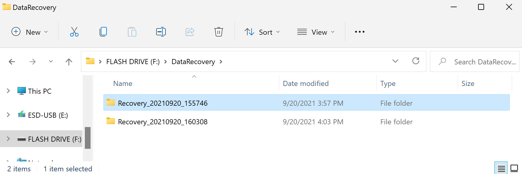 view the recovered files