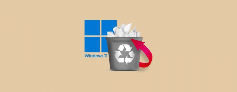 Windows 11에서 영구적으로 삭제된 파일을 복구하는 방법