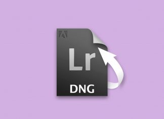 recover dng files