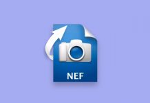 recover deleted nef files