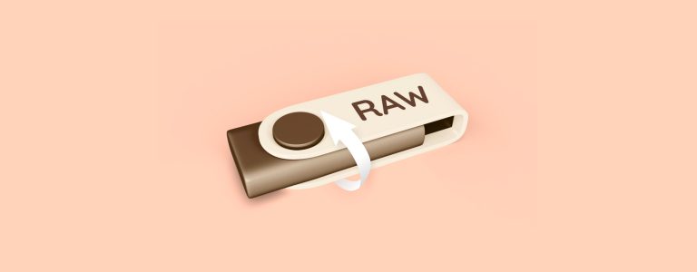 How to Recover Files from a RAW USB Drive and Fix It