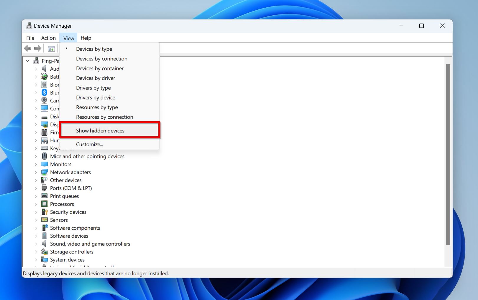 Show hidden devices in Device Manager.