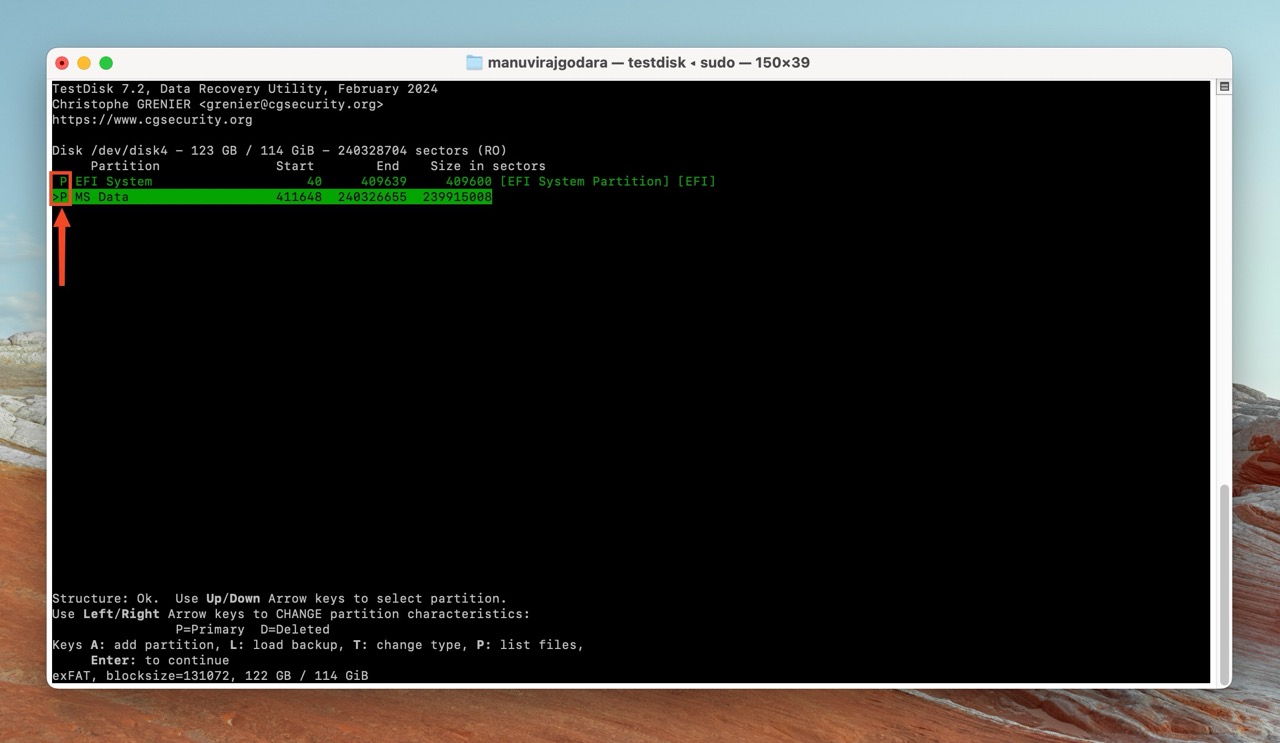 TestDisk on Mac showing the structure of a disk with partitions.