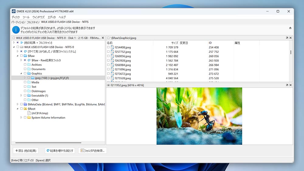 DM Disk Editor and Data Recovery Software